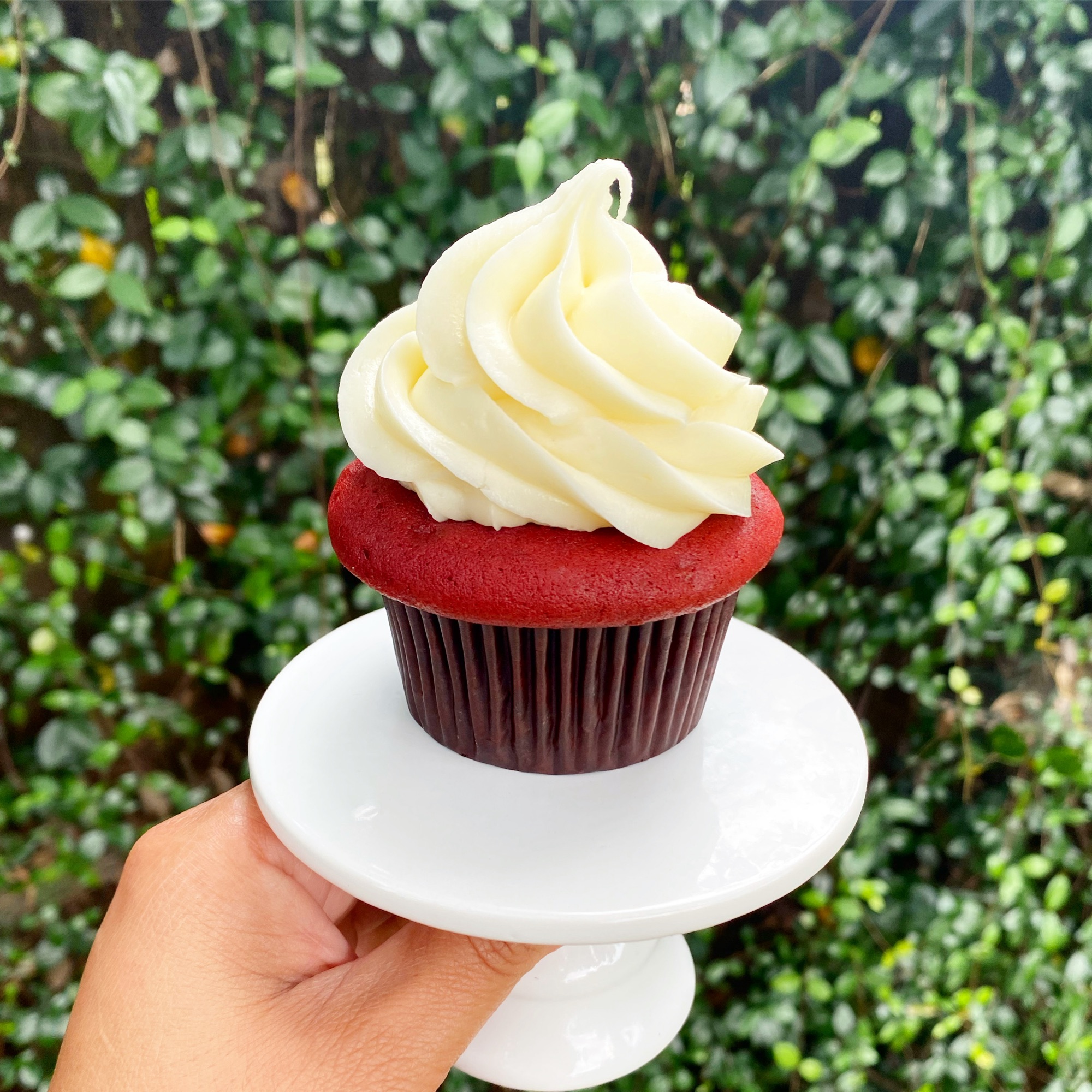 Red Velvet Cupcake