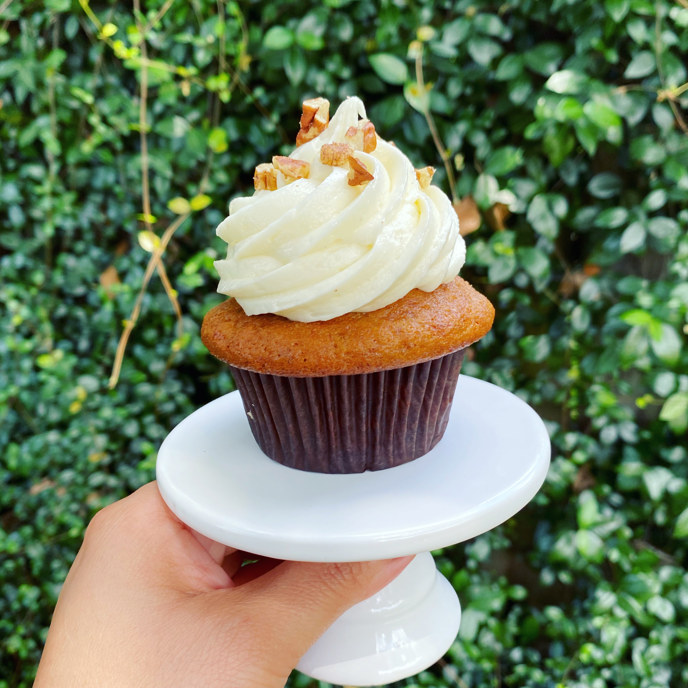 Hummingbird Cupcake