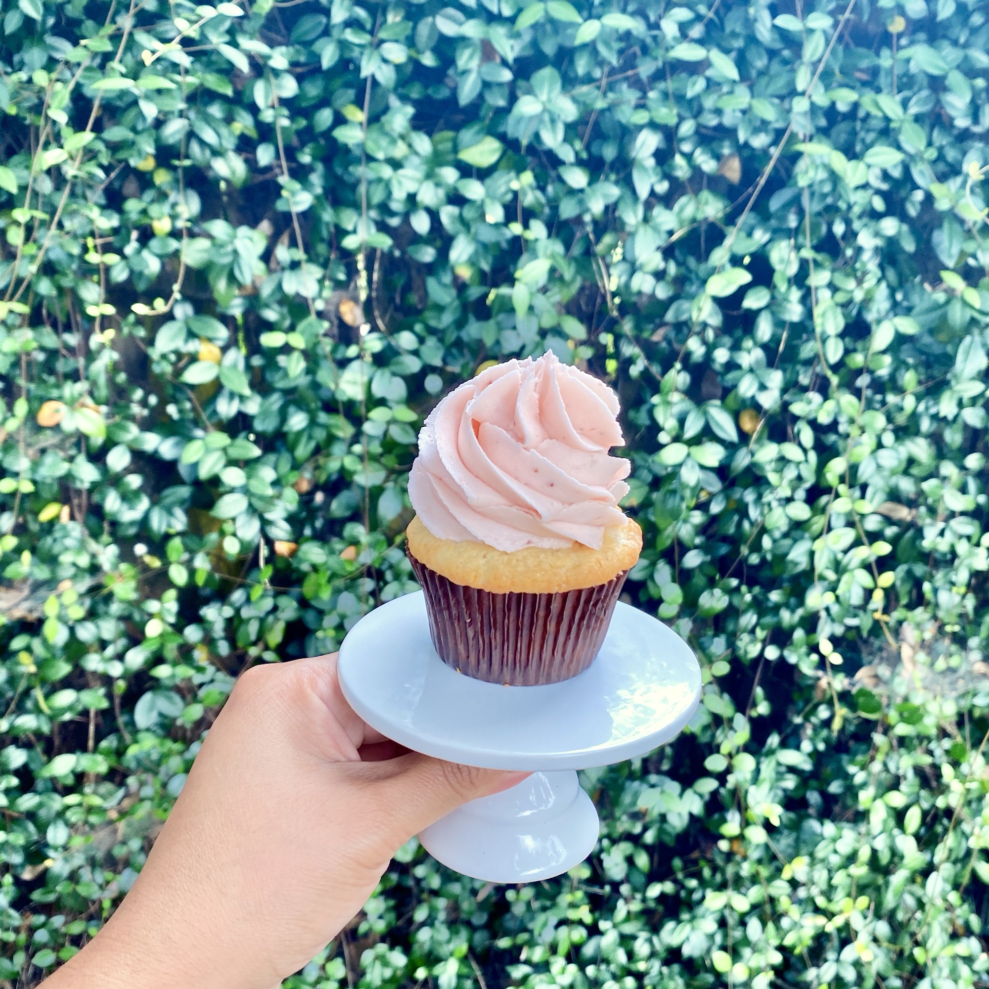 Vanilla Strawberry Cupcake